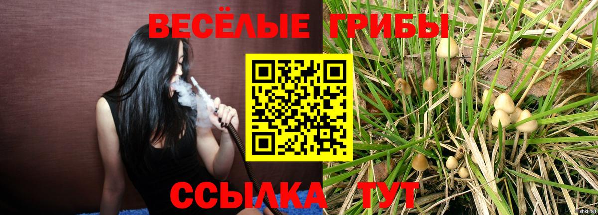 Галлюциногенные грибы мухоморы Гагарин